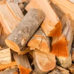 Timtum Halev firewood: The definitive solution for efficient heating