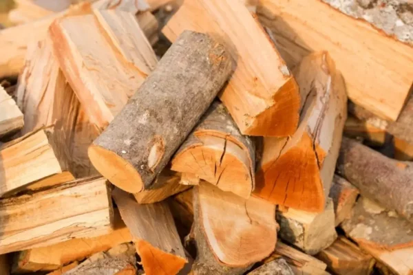 Timtum Halev firewood: The definitive solution for efficient heating