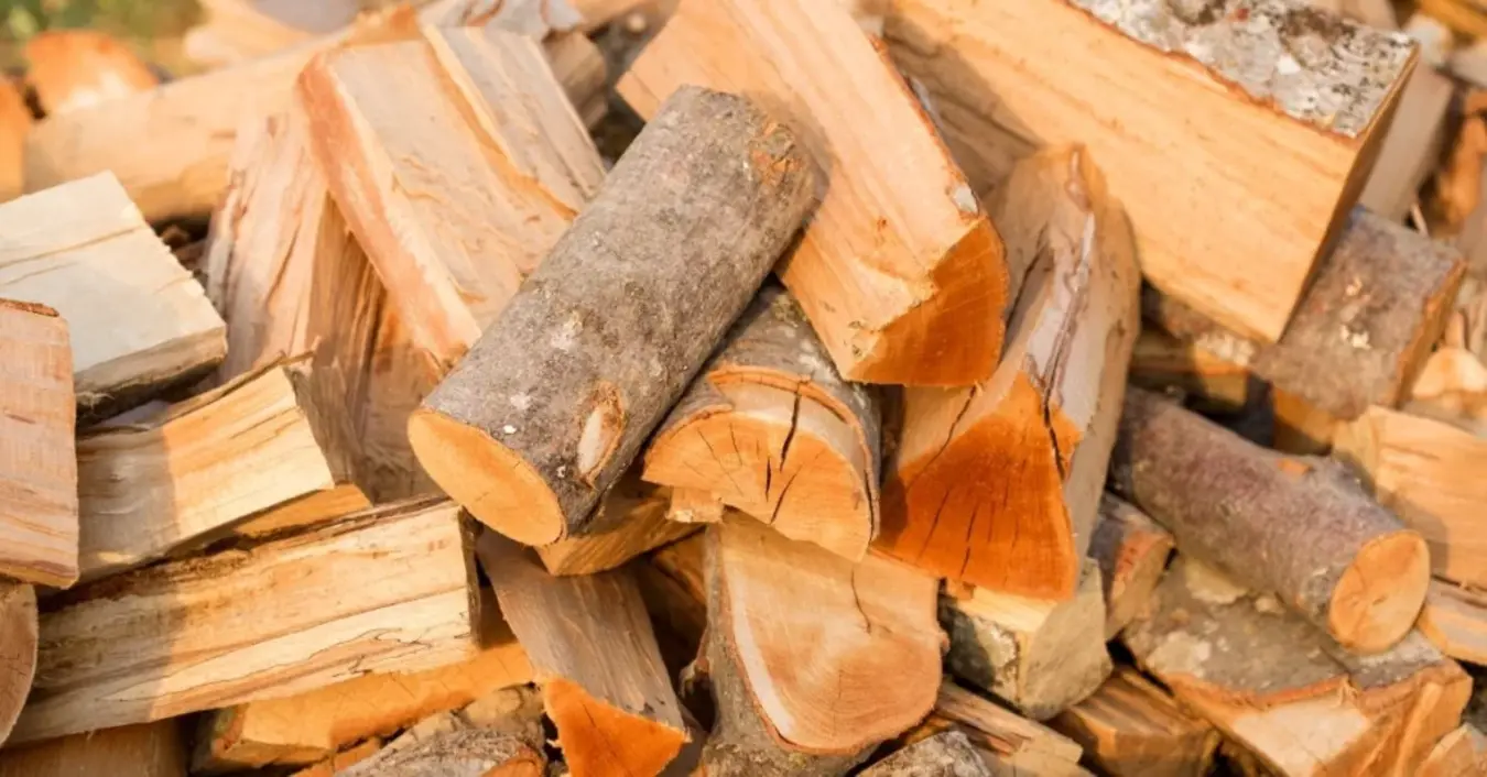 Timtum Halev firewood: The definitive solution for efficient heating